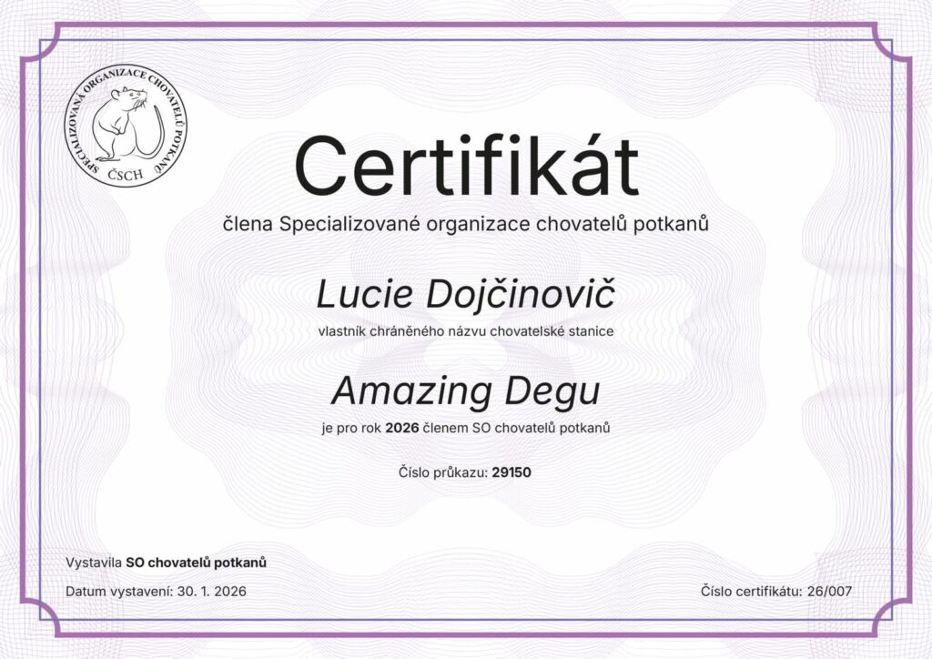 80c91870-7bd8-4b98-a00b-e8fc6897ca46